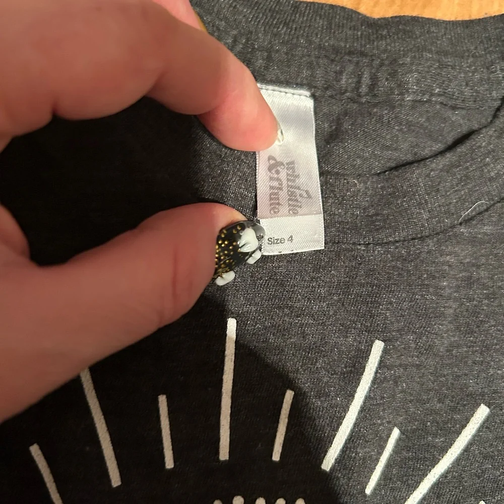 Whistle & Flute Milestone Charcoal Kids Tee Four Graphic Size 4 Birthday Shirt